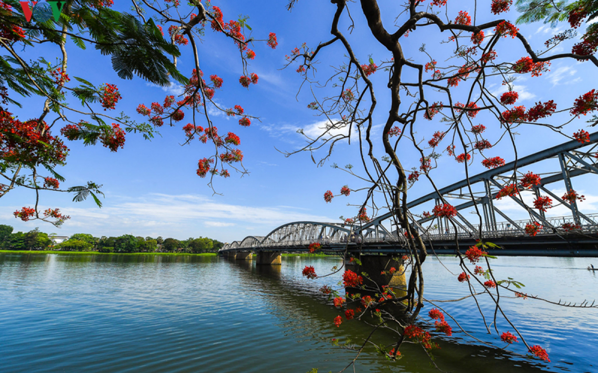 Tp.Huế bùng dịch trở lại báo đỏ trên khắp địa bàn : đây có phải là ổ dịch tiếp theo ?